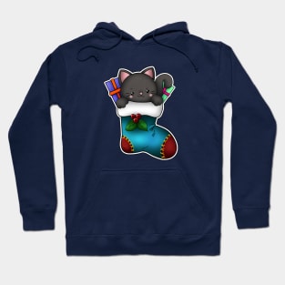 Kitty christmas stocking Hoodie